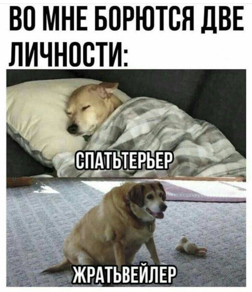 Мем, Смехалка