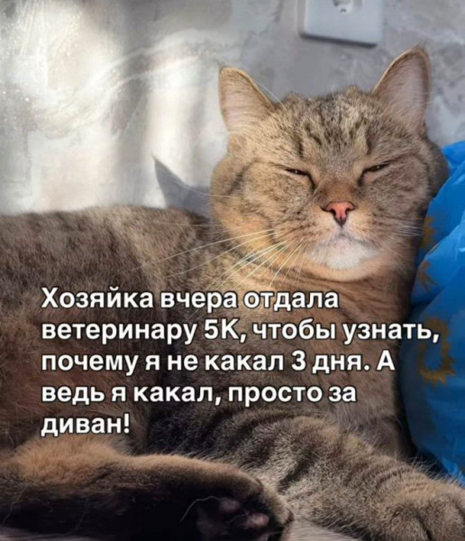 Мем, Смехалка