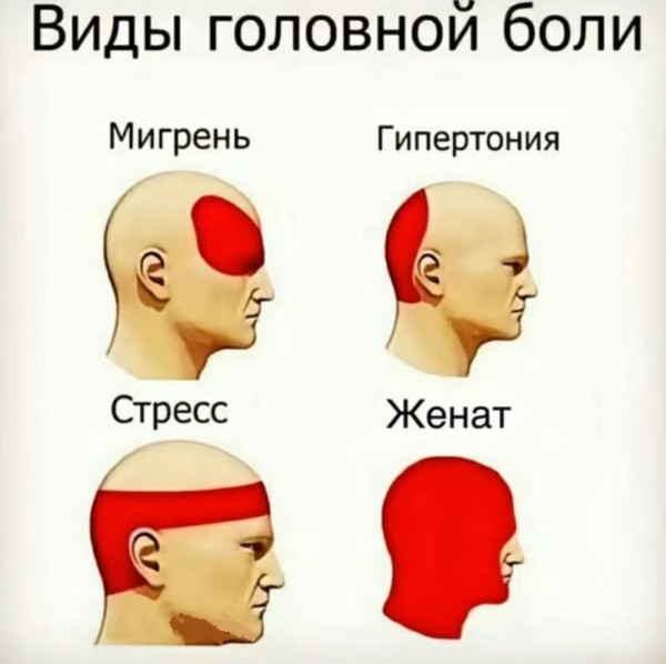 Мем, immar