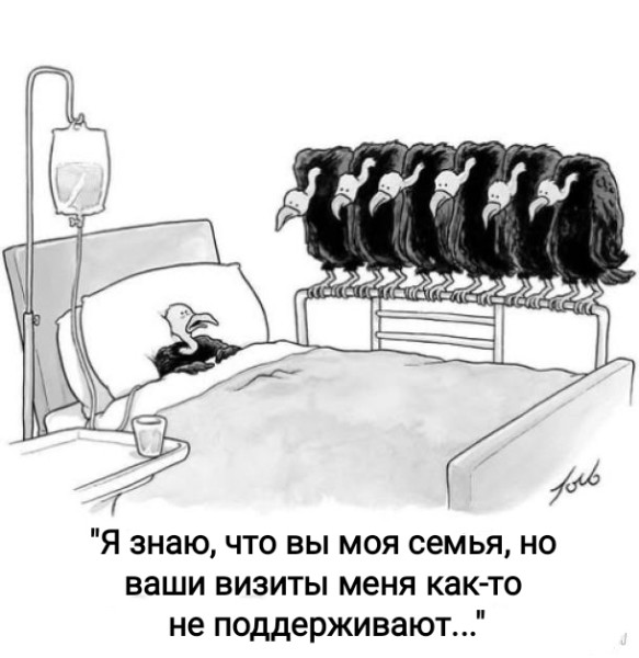 Мем, Рысь