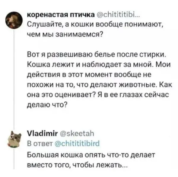 Мем, Смехалка