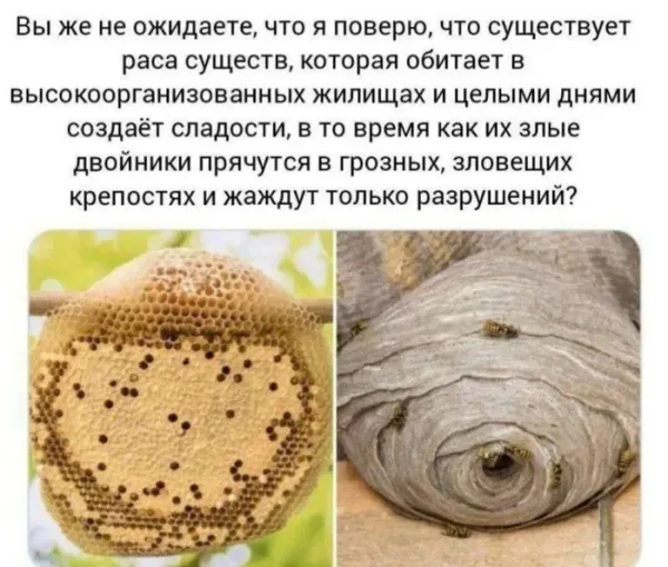 Мем, Смехалка