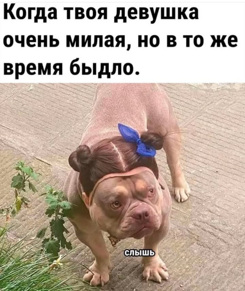 Мем, Анекдотчик