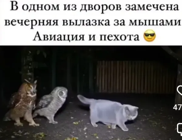 Мем, Смехалка