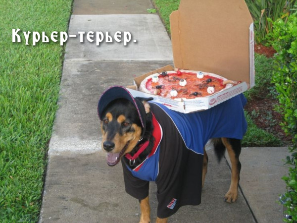 Мем, Mghost Мем, Mghost