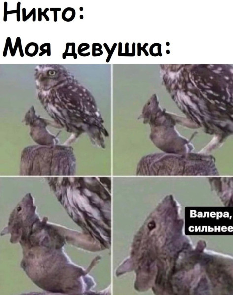 Мем: Юмор для взрослых, iteam