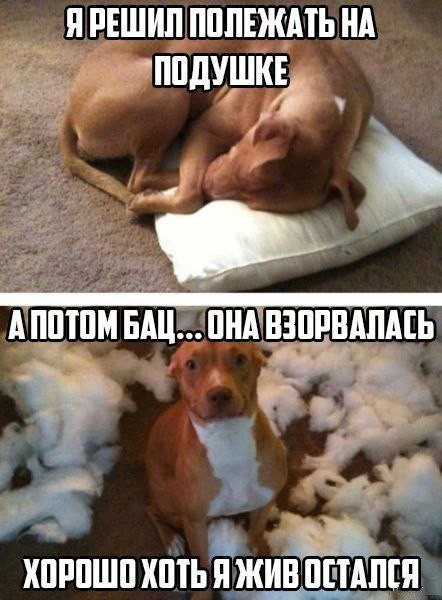 Мем, Смехалка