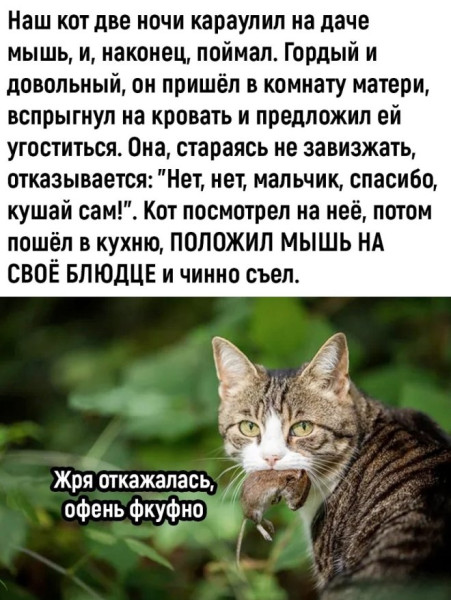 Мем, Смехалка