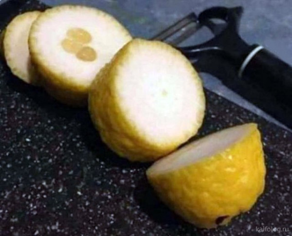 Мем: Толстокожие, Брюттон Мем: Толстокожие, Брюттон