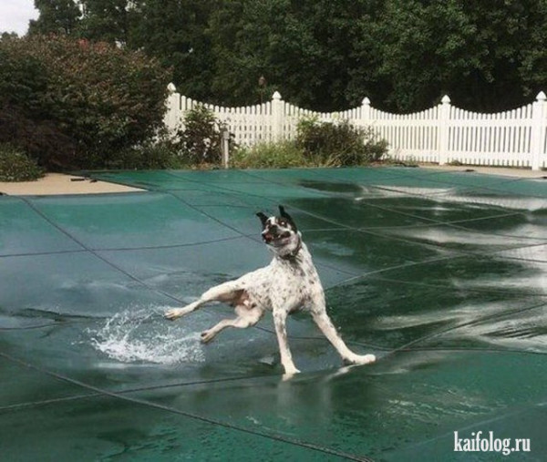 Мем: Занос, Брюттон Мем: Занос, Брюттон