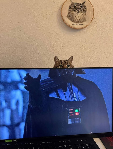 Мем: Здравствуй Люк, я твой отец., henh