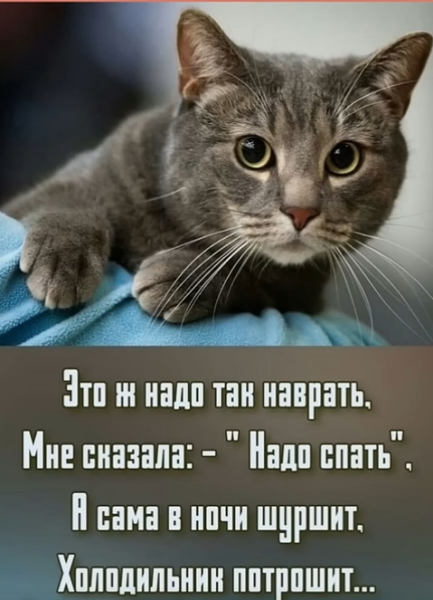 Мем, immar Мем, immar