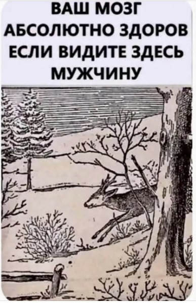 Мем, immar Мем, immar