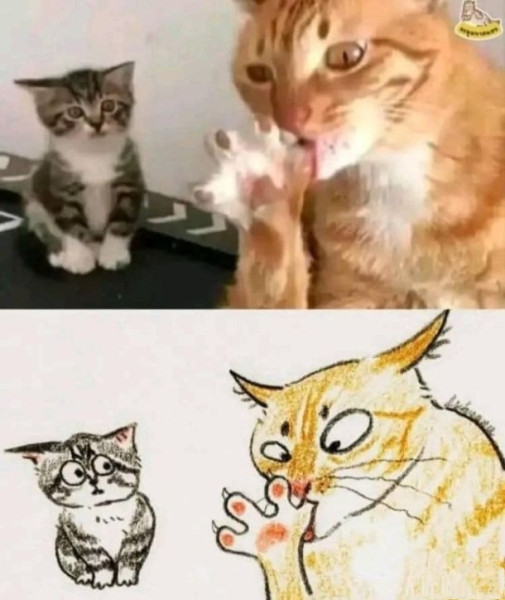 Мем, Рысь Мем, Рысь