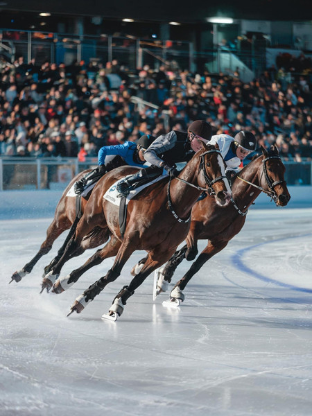 Мем, Ingrid Lovera Мем, Ingrid Lovera