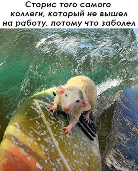 Мем, henh Мем, henh