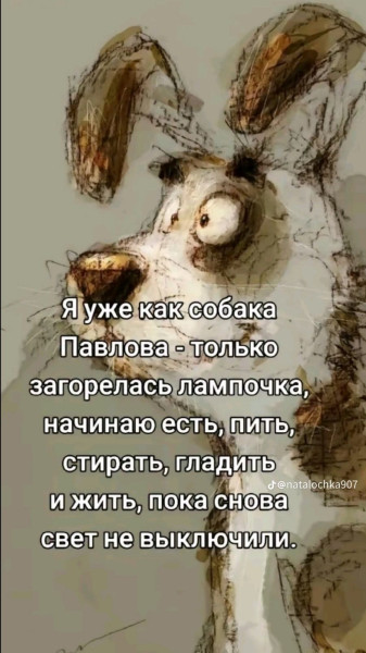 Мем: Собака имени Павлова, 1andreymx Мем: Собака имени Павлова, 1andreymx
