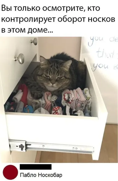 Мем, Смехалка