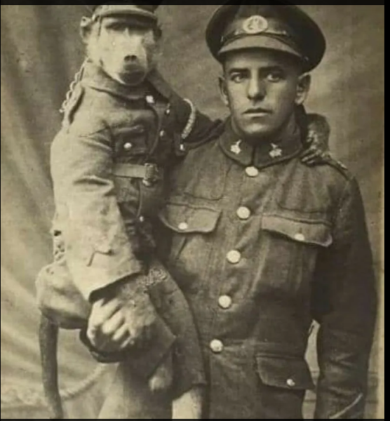 Мем, михельсон