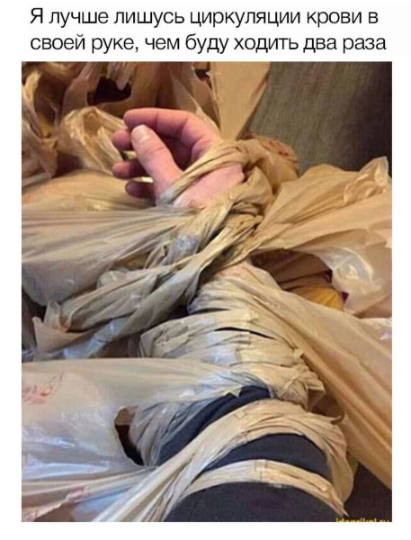 Мем: Ленивый тот кто хочет за один раз все унести., henh