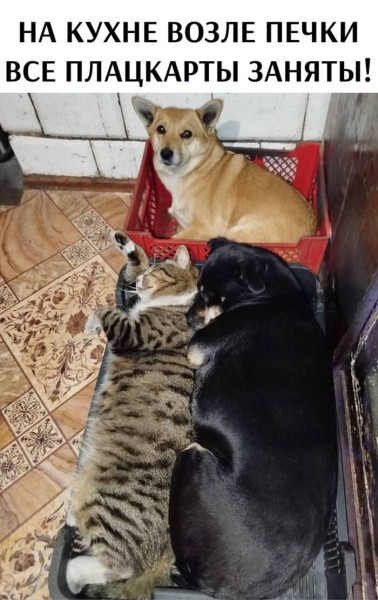 Мем, Смехалка