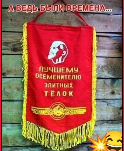 Мем, immar Мем, immar