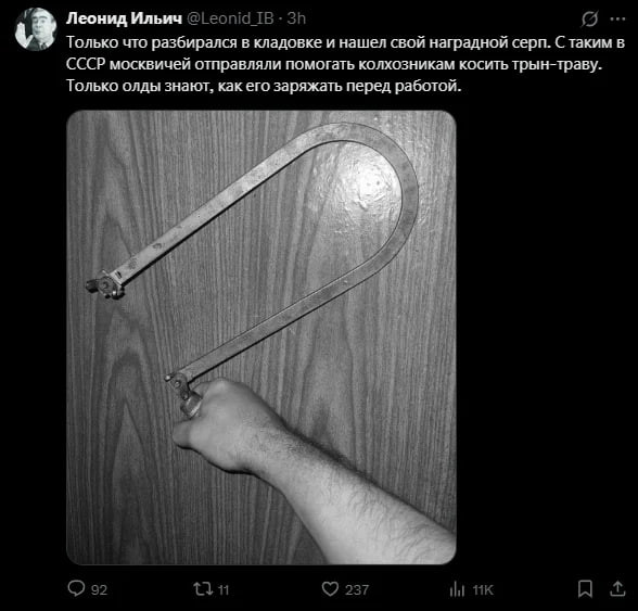 Мем, Максим Камерер