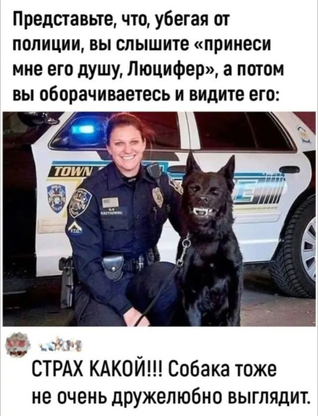 Мем, Jonas Мем, Jonas