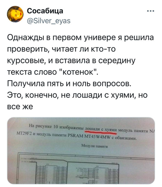 Мем: Как налить побольше воды в курсовую., henh