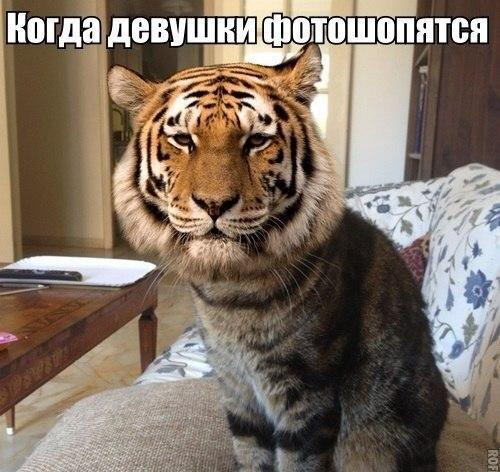 Мем: Приколы на день, iteam