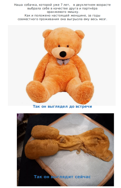 Мем: Жизнь Мишутки, Ivan Goldstein Мем: Жизнь Мишутки, Ivan Goldstein