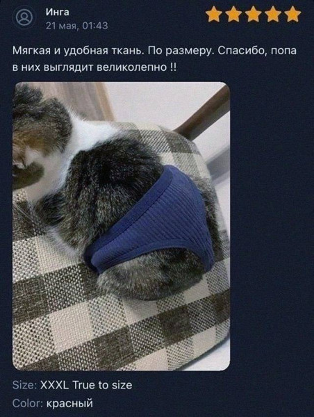 Мем, henh Мем, henh