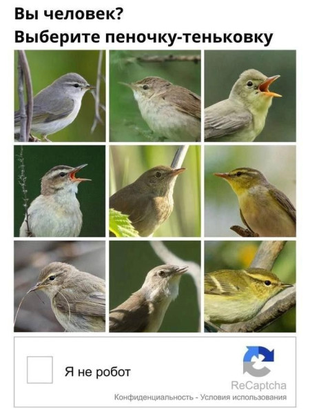 Мем, Смехалка