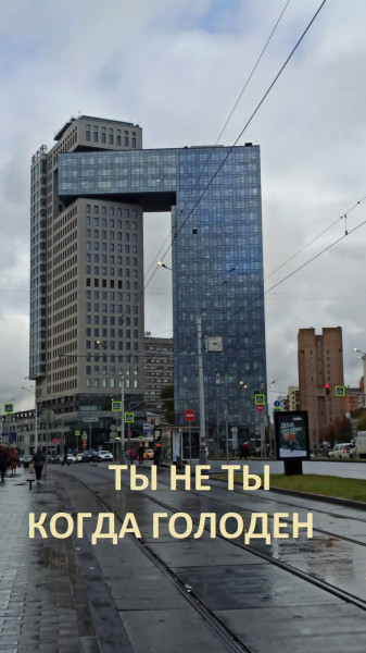 Мем: все как в дикой природе, GRave Мем: все как в дикой природе, GRave