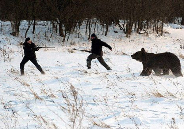 Мем: Драма на охоте