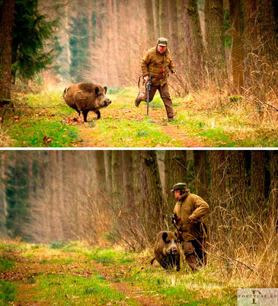 Мем: Грустная история Мем: Грустная история