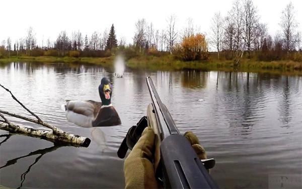 Мем: О том, как карась не дремал Мем: О том, как карась не дремал