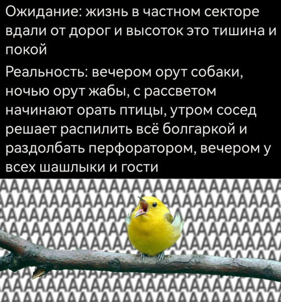 Мем: Жизнь в частном секторе., henh