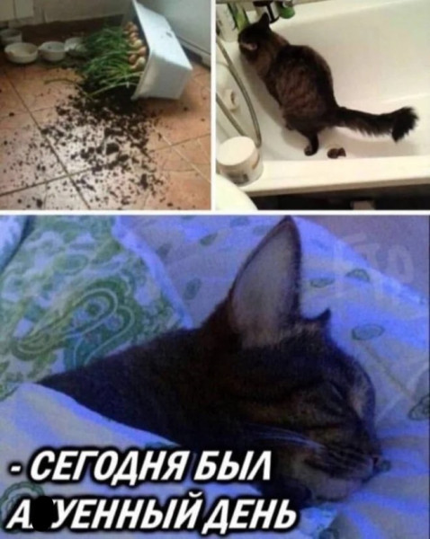 Мем, Смехалка