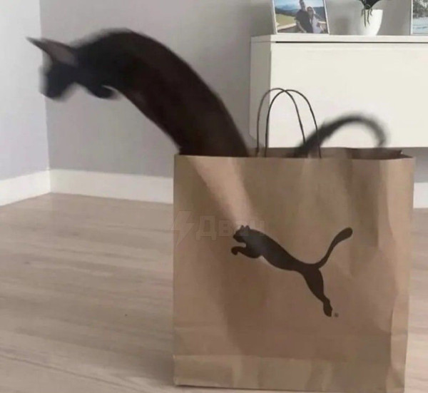 Мем: Перед вами волшебный пакет призывающий пум., henh