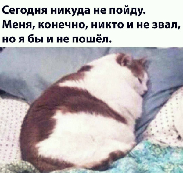 Мем, Ashmedai Мем, Ashmedai