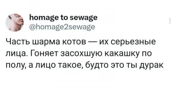 Мем, Смехалка Мем, Смехалка