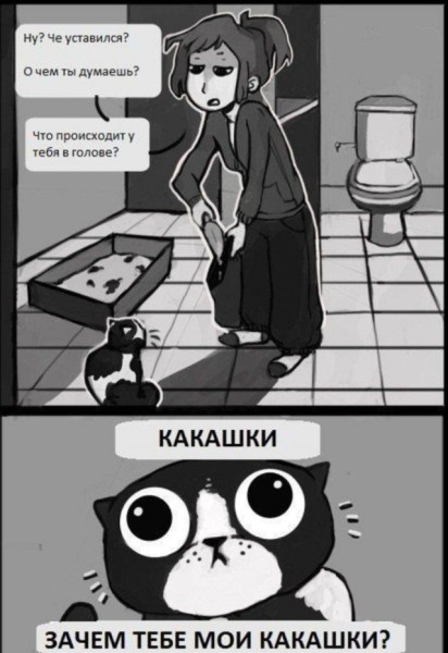 Мем: Про котиков, iteam