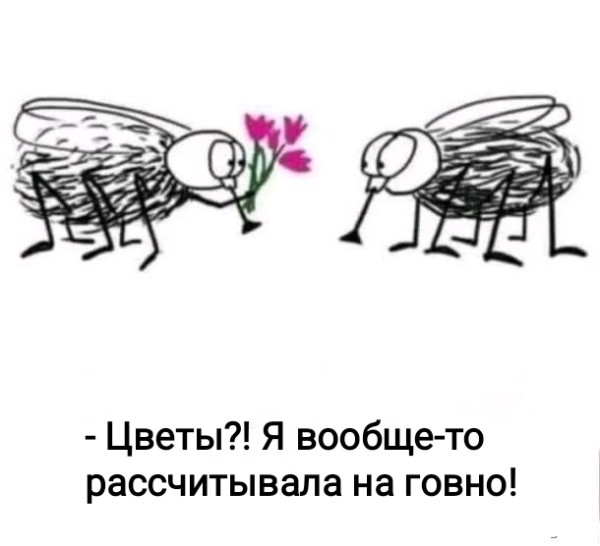 Мем, Рысь Мем, Рысь