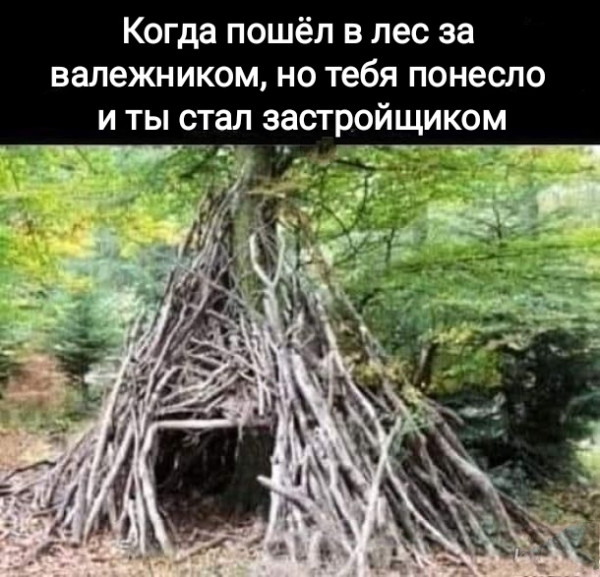 Мем, Рысь Мем, Рысь