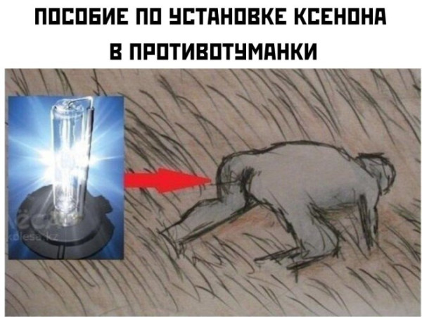 Мем: Весёлые приколы, iteam