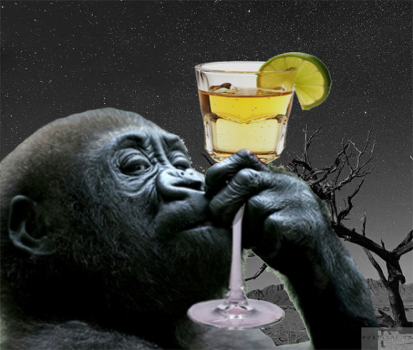 Мем: Знаете ли Вы