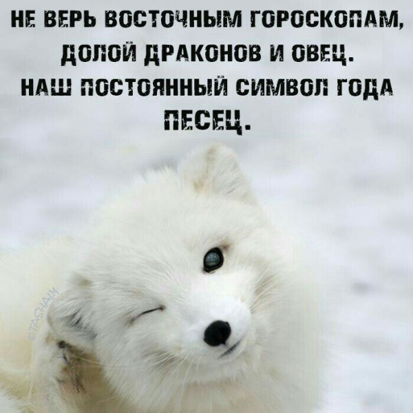 Мем, Mghost Мем, Mghost