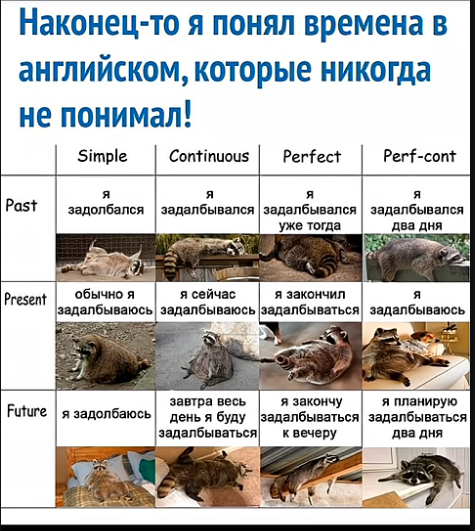 Мем, Алибабаевич