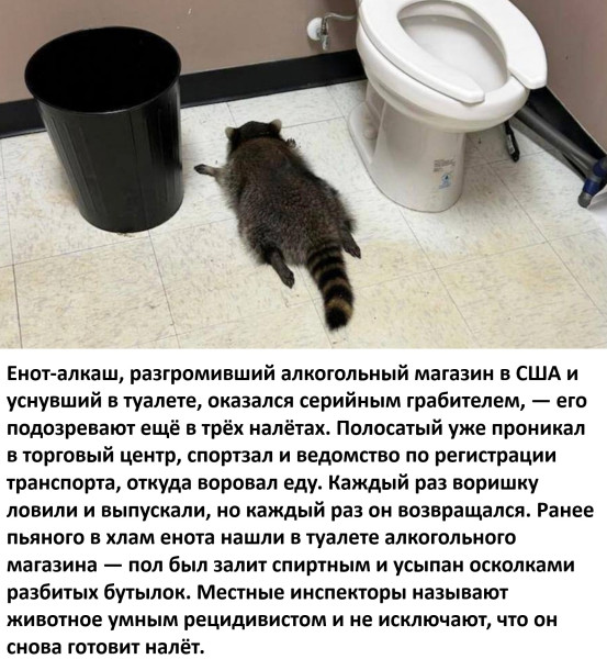 Мем, Смехалка